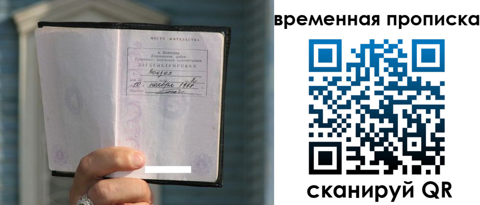 прописка поиск в Светлом