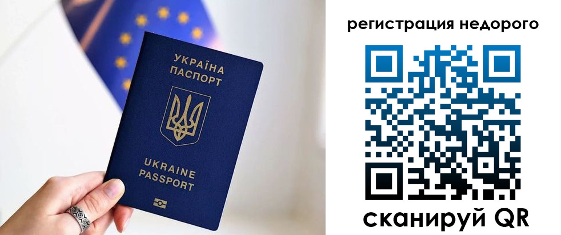 прописка 2025 в Светлом